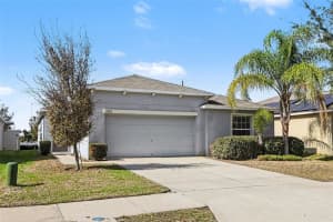 10305 BOGGY MOSS DRIVE, RIVERVIEW, FL 33578 - MLS#MFRO6372493