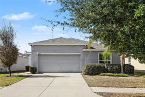 10305 BOGGY MOSS DRIVE, RIVERVIEW, FL 33578 - MLS#MFRO6372493