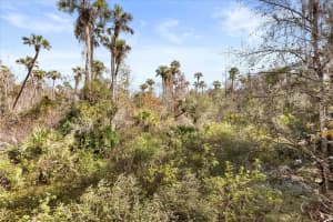 1705 SUNSET TRAIL, GENEVA, FL 32732 - MLS#MFRO6372526