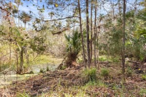 1705 SUNSET TRAIL, GENEVA, FL 32732 - MLS#MFRO6372526