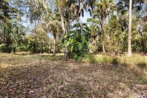 1705 SUNSET TRAIL, GENEVA, FL 32732 - MLS#MFRO6372526