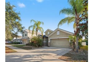 11409 FLORA SPRINGS DRIVE, RIVERVIEW, FL 33579 - MLS#MFRO6372536