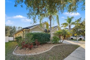 11409 FLORA SPRINGS DRIVE, RIVERVIEW, FL 33579 - MLS#MFRO6372536