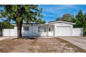 306 E 119th Ave, TAMPA
