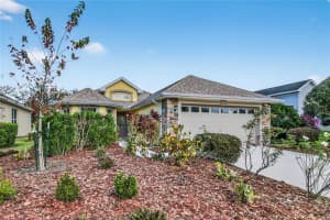 3003 NEW HAVEN PLACE, MOUNT DORA, FL 32757 - MLS#MFRO6372744