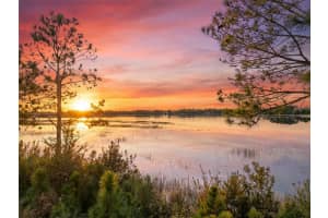 8613 BAYVIEW CROSSING DRIVE, WINTER GARDEN, FL 34787 - MLS#MFRO6372749