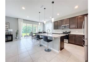 8060 CHERRYSTONE STREET, LEESBURG, FL 34748 - MLS#MFRO6372816