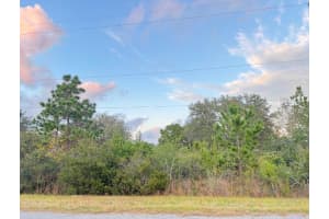 00 ROBERTSON STREET, ORLANDO, FL 32833 Sold 02/09/26