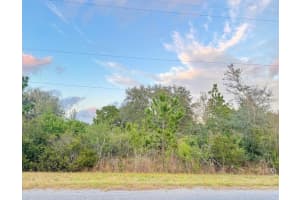 00 ROBERTSON STREET, ORLANDO, FL 32833 Sold 02/09/26