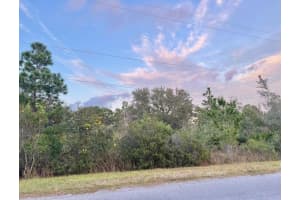 00 ROBERTSON STREET, ORLANDO, FL 32833 Sold 02/09/26