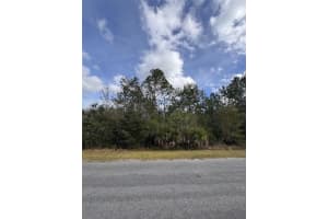 0 CORONET AVENUE, ORLANDO, FL 32833 - MLS#MFRO6373013