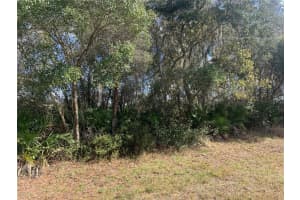 39926 FOREST DRIVE, EUSTIS, FL 32726 - MLS#MFRO6373091