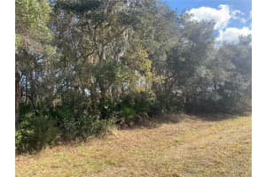 39926 FOREST DRIVE, EUSTIS, FL 32726 - MLS#MFRO6373091