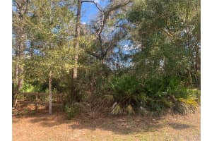 39926 FOREST DRIVE, EUSTIS, FL 32726 - MLS#MFRO6373091