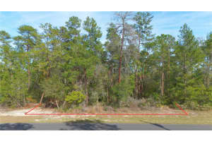 SW 55TH COURT RD, OCALA, FL 34473 - MLS#MFRO6373099