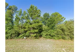 SW 29TH AVENUE ROAD, OCALA, FL 34473 Sold 02/11/26