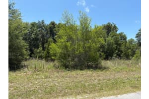 6642 FLOWER TERRACE, HERNANDO, FL 34442 - MLS#MFRO6373172