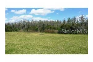 3125 QUEEN ALEXANDRIA DRIVE, KISSIMMEE, FL 34744 - MLS#MFRO6373266