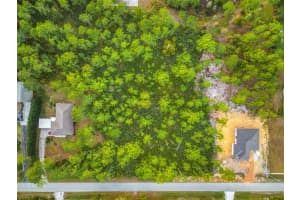 5817 WOLF LAKE ROAD, SEBRING, FL 33875 - MLS#MFRO6373347