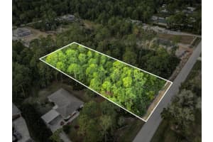 5817 WOLF LAKE ROAD, SEBRING, FL 33875 - MLS#MFRO6373347