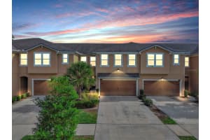 10212 NEWEL VALLEY LOOP, RIVERVIEW, FL 33569 - MLS#MFRO6373400