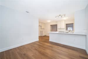 356 FANFAIR AVENUE, ORLANDO, FL 32811 - MLS#MFRO6373421