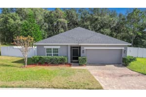 116 ISLABELLA WAY, GROVELAND, FL 34736 - MLS#MFRO6373422
