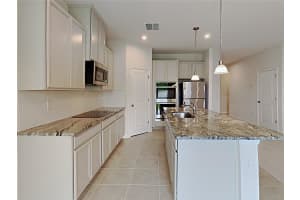 221 SIESTA VISTA COURT, DAVENPORT, FL 33896 - MLS#MFRO6373431