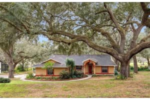 30911 VISTA VIEW, MOUNT DORA, FL 32757 - MLS#MFRO6373459