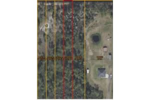 STARRY ST, ORLANDO, FL 32833 - MLS#MFRO6373738