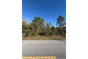 STARRY ST, ORLANDO, FL 32833 - MLS#MFRO6373738