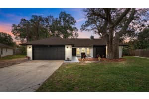 201 STERLING ROSE COURT, APOPKA, FL 32703 - MLS#MFRO6373802