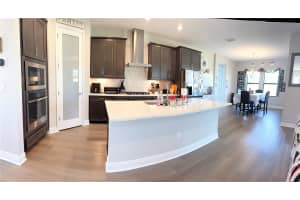 14820 PADDOCK POND AVENUE, LITHIA, FL 33547 - MLS#MFRO6373904