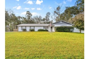 1002 PINE TREE DRIVE, EUSTIS, FL 32726 - MLS#MFRO6373994