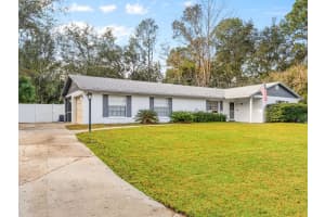 1002 PINE TREE DRIVE, EUSTIS, FL 32726 - MLS#MFRO6373994