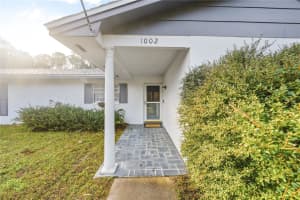 1002 PINE TREE DRIVE, EUSTIS, FL 32726 - MLS#MFRO6373994