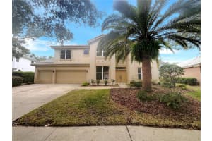 18105 REGENTS SQUARE DRIVE, TAMPA, FL 33647 - MLS#MFRO6374021