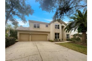 18105 REGENTS SQUARE DRIVE, TAMPA, FL 33647 - MLS#MFRO6374021