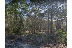 4430 LANDOVER BOULEVARD, SPRING HILL, FL 34609 - MLS#MFRO6374081