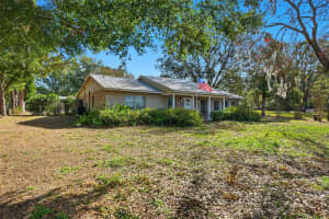 31800 ORANGE STREET, SORRENTO, FL 32776 - MLS#MFRO6374143