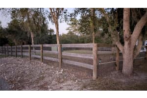 8575 305TH AVENUE, SALT SPRINGS, FL 32134 - MLS#MFRO6374161