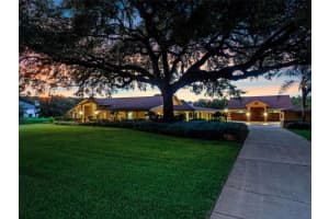 32133 WOLF BRANCH LANE, SORRENTO, FL 32776 - MLS#MFRO6374261