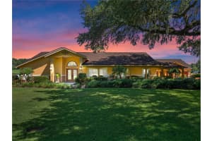 32133 WOLF BRANCH LANE, SORRENTO, FL 32776 - MLS#MFRO6374261