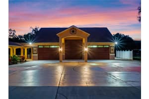 32133 WOLF BRANCH LANE, SORRENTO, FL 32776 - MLS#MFRO6374261