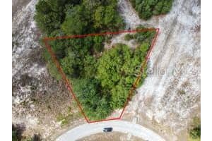 1329 HOMOSASSA COURT, KISSIMMEE, FL 34759 - MLS#MFRO6374349