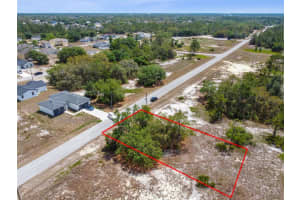 1344 HILLSBOROUGH COURT, KISSIMMEE, FL 34759 - MLS#MFRO6374352