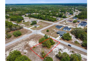 1344 HILLSBOROUGH COURT, KISSIMMEE, FL 34759 - MLS#MFRO6374352