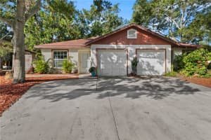 2730 LANGSTAFF DRIVE, PALM HARBOR, FL 34684 - MLS#MFRO6374384