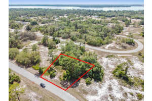 1335 HILLSBOROUGH COURT, KISSIMMEE, FL 34759 - MLS#MFRO6374388