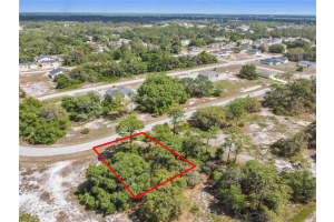 1335 HILLSBOROUGH COURT, KISSIMMEE, FL 34759 - MLS#MFRO6374388